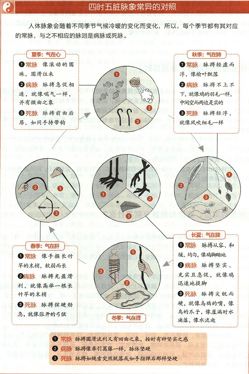 五臟的常脈、病脈和死脈分別是什么？