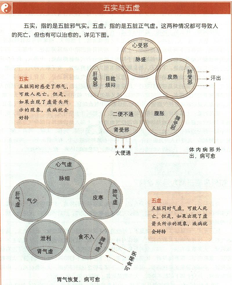 什么是五實五虛？