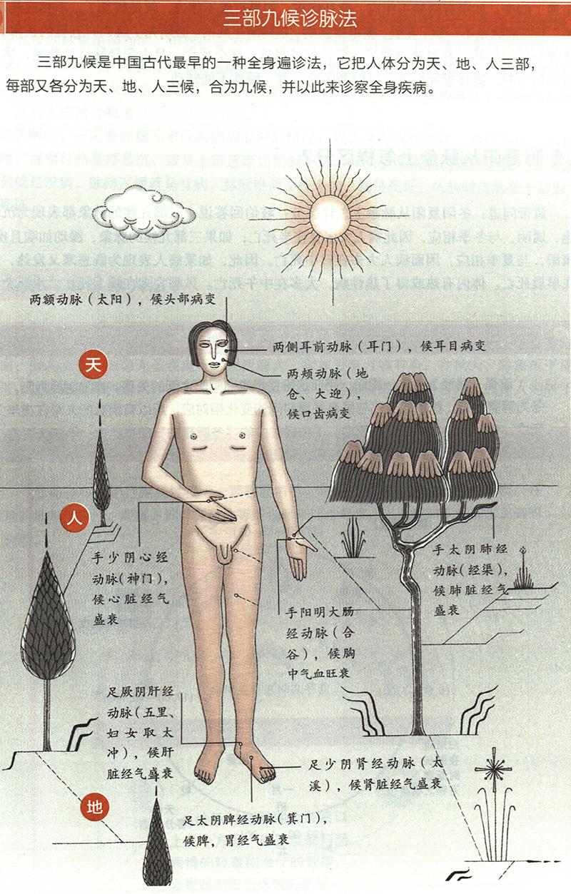如何根據(jù)三部九候來診??？