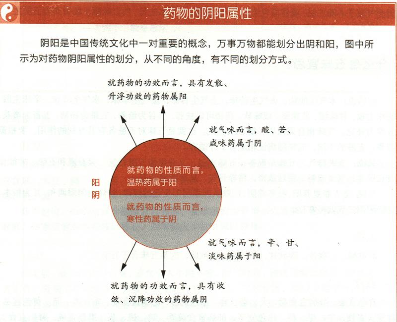 什么是氣味陰陽？