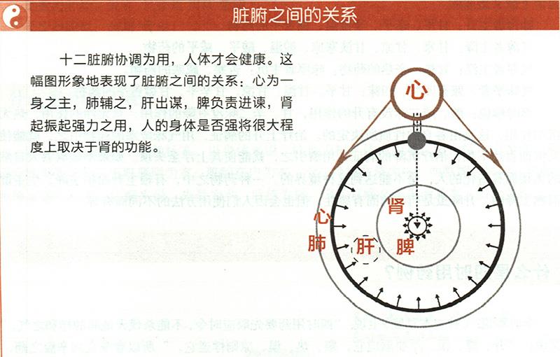 什么是五臟五味補瀉？