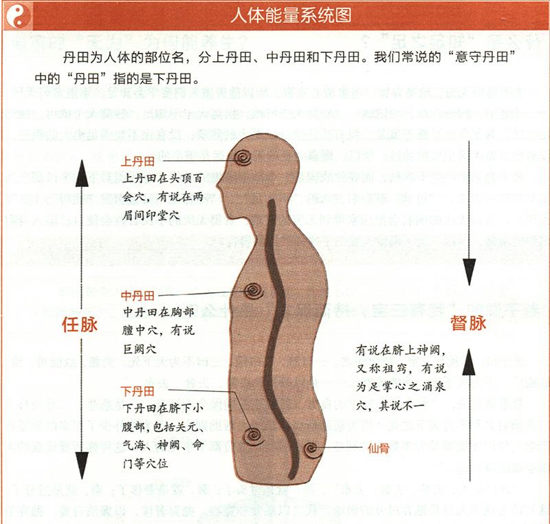 “吹呴呼吸，吐故納新”是怎樣的養(yǎng)生法？