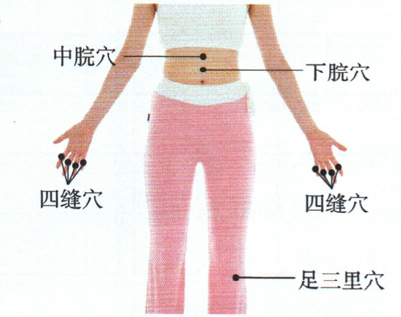 按摩足三里穴、四縫穴、中脘穴，促進吸收增點肉