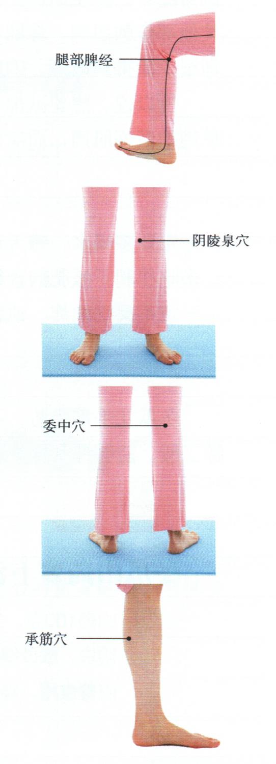 按摩腿部穴位，祛濕瘦腿