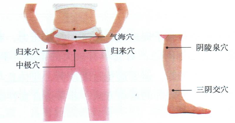 按摩歸來穴、中極穴等，健脾調(diào)經(jīng)更助孕