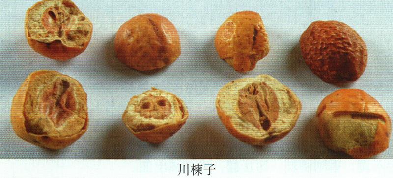 黑膽?。ㄇ⊙拍歉癫迹┑闹委?/>
       </div>
       <p>黑膽?。ㄇ⊙拍歉癫迹┑闹委?/p>
      </a>
     </li>
      <li>
       <a href=
