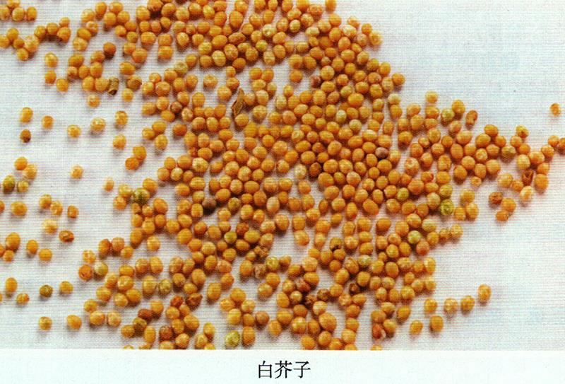 治毒蛇咬傷、癖癥、蕁麻疹方